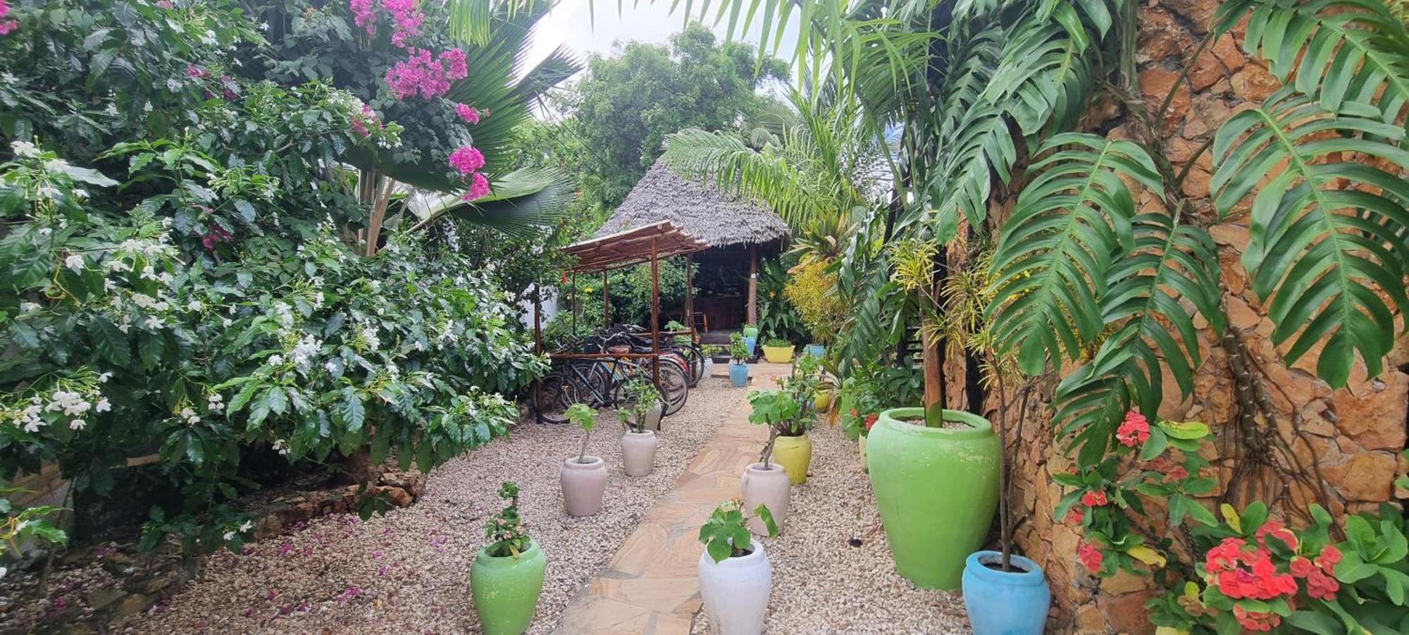 Salama & Mbuyuni Bungalows Matemwe  Dış mekan fotoğraf